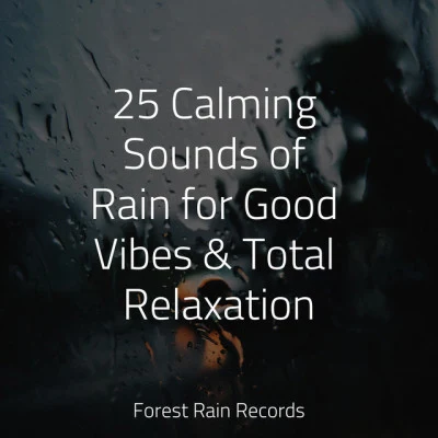 Nursery Rhymes25 Calming Sounds of Rain for Good Vibes Total Relaxation