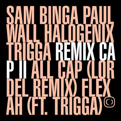 TriggaIf The Cap Fits: Remixed Part. 2