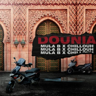 Knaller/Mula BDounia