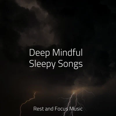 Egyptian Meditation Temple/Entspannungsmusik Oase/White Noise BabiesDeep Mindful Sleepy Songs