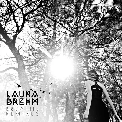 SoundNet/Laura BrehmBreathe EP Remixes