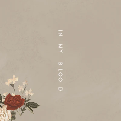 Shawn Mendes/NOTDIn My Blood