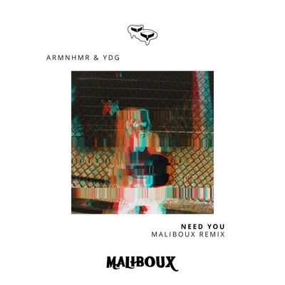 ARMNHMRNeed You - The Remixes