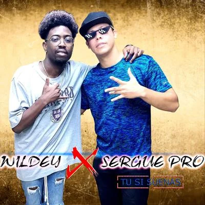 Wildey/Yomil y El DanyTú Si Suenas (feat. Wildey)