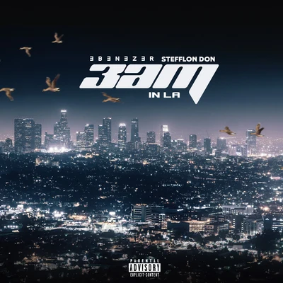 Ebenezer3am in LA (feat. Stefflon Don)