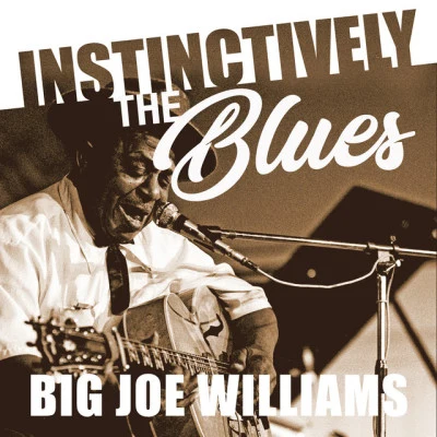 Big Joe WilliamsInstinctively the Blues - Big Joe Williams