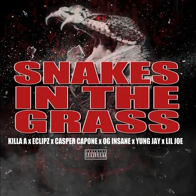 Casper Capone/UnknownSnake in the Grass (feat. Eclipz, OG Insane, Lil Joe & Yung Jay)