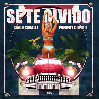 Carlo Cavalli/Danny Saucedo/Jerry Kay/Ricky Pellegrino/PiLO/Tom Pool/D Fabianz/Alex Faraci/Dj Take/Dany CohibaSe Te Olvido (Carlo Cavalli Presents Cupido)