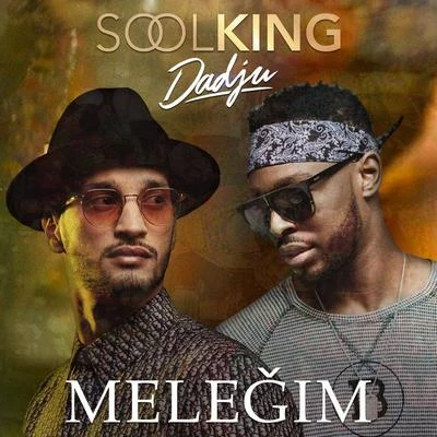 Soolking/VeyselMeleğim