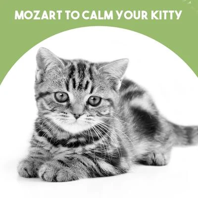 Victor AitayMozart to calm your Kitty