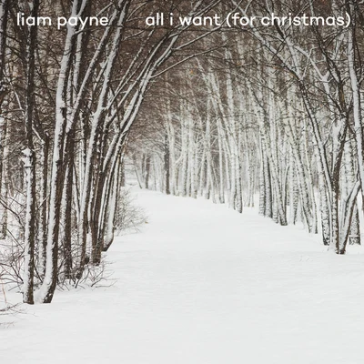 Liam PayneAlessoAll I Want (For Christmas)