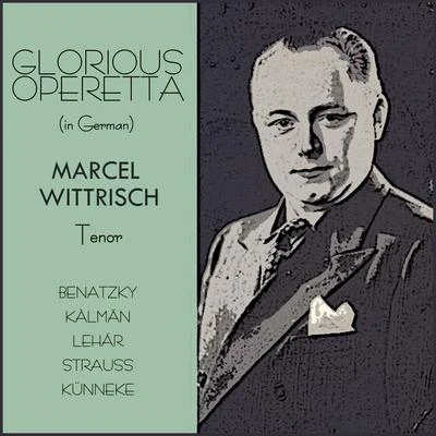 Waldemar Henke/Vera Schwarz/Lizzi Waldmüller/Maria Reining/Gustaf Gründgens/Hans Holt/Marcel Wittrisch/Richard Tauber/Unknown Artist/Kurt GerronGlorious Opperette (Sung in German)