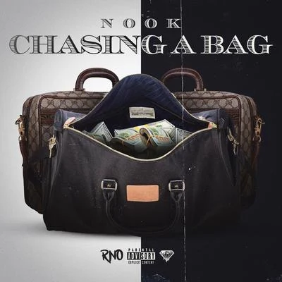 NookChasing a Bag