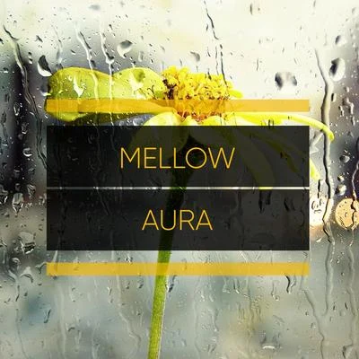 Rainforest Ambience#Mellow Aura