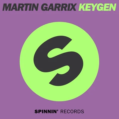 Martin GarrixKeygen