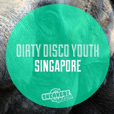 Dirty Disco YouthSingaporeZ