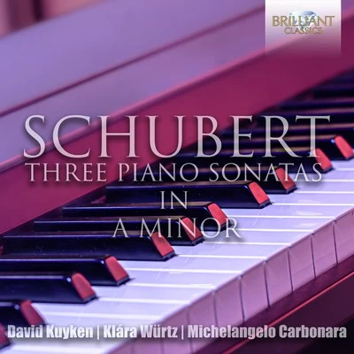 Netherlands Radio Chamber Orchestra/David Kuyken/Ton de LeeuwSchubert: The Three Piano Sonatas in A Minor