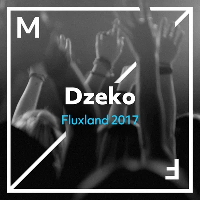 DzekoFluxland 2017