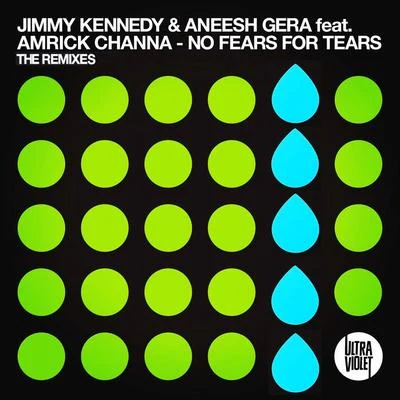 Jimmy Kennedy/Ralph Blane/Gene Autry/Mel Tormé/Buck Ram/Ray Evans/Robert Wells/Bob Dylan/Walter Vinson/Hugh MartinNo Fears for Tears (The Remixes)