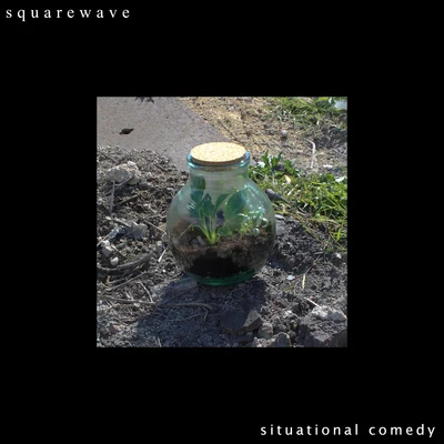 SquarewaveSituational Comedy