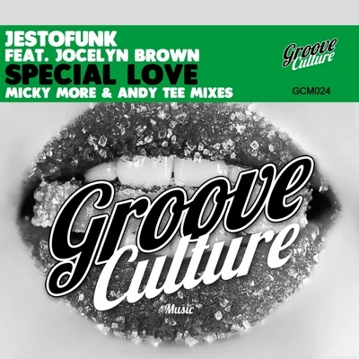 JestofunkSpecial Love (Micky More & Andy Tee Mixes)