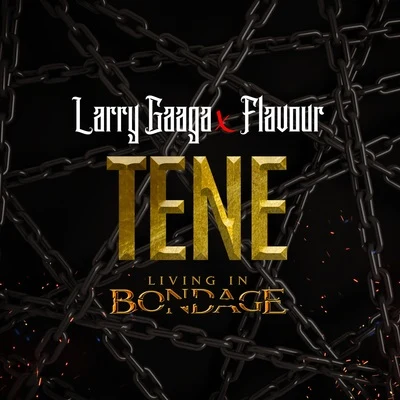 2Baba/Larry GaagaTene: Living In Bondage