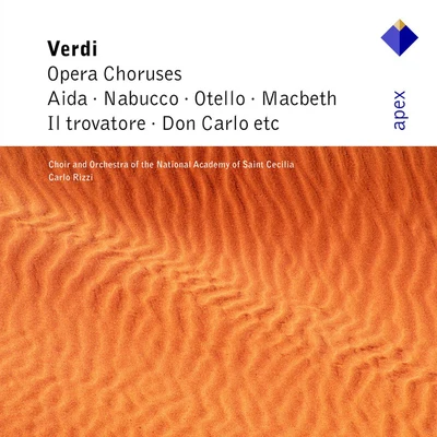 Carlo RizziAnna NetrebkoWiener PhilharmonikerVerdi : Opera Choruses (Apex)