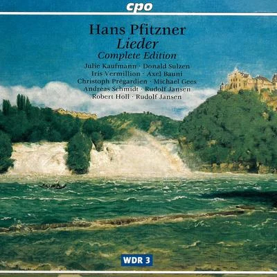 Andreas SchmidtPfitzner: Lieder (Complete Edition, Vol. 2)