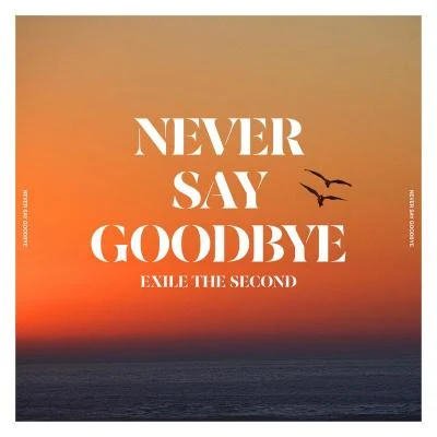 EXILE THE SECONDNEVER SAY GOODBYE