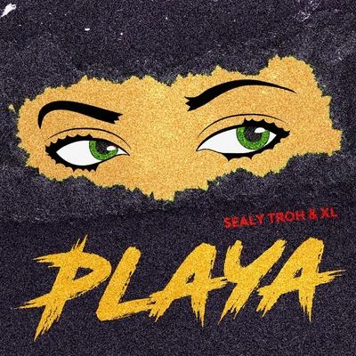 XLPlaya