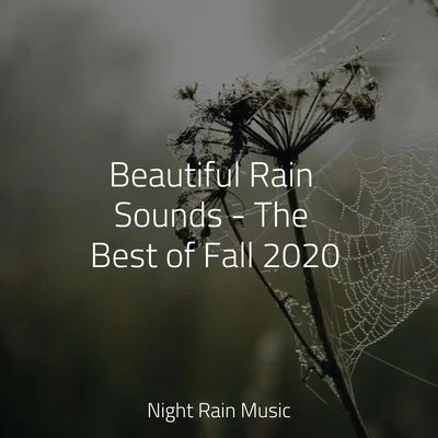 Meditative Music GuruOasis of MeditationMassagem GuruBeautiful Rain Sounds - The Best of Fall 2020