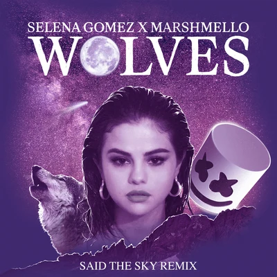 Said The Sky/blackbear/Goldhouse/Mokita/Kane BrownWolves (Said The Sky Remix)