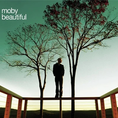 MobyBeautiful EP