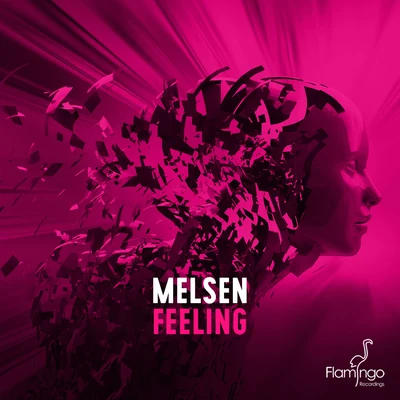 MelsenFeeling (Extended Mix)