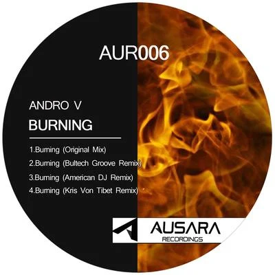 Andro V/Rita Raga/Marco Bertek/Planets Madness/Owl Stone/Vibe Injection/Alexander Tarasov/White Motive/Alivvve/Rayan MyersBurning