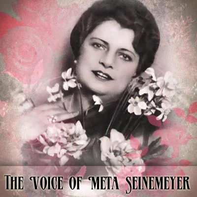 Meta Seinemeyer/Margarete Teschemacher/Hans Hopf/Ivar Andresen/Tino Pattiera/Kurt Böhme/Georg Hann/Josef Greindl/Josef Herrmann/Michael BohnenThe Voice Of Meta Seinemeyer