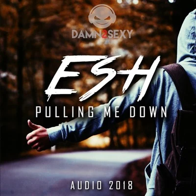 ESH/Damn 2 SexyPulling Me Down