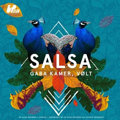 Gaba KamerSalsa (Extended Mix)