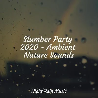 Deep Sleep Music AcademyZen Music GardenSpaSlumber Party 2020 - Ambient Nature Sounds