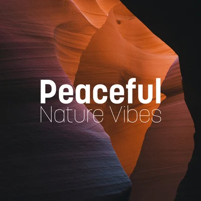 The Calming Sounds of NaturePeaceful Nature Vibes