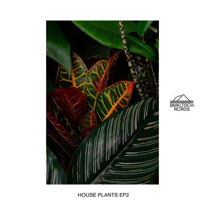 HyslopHouse Plants EP 2