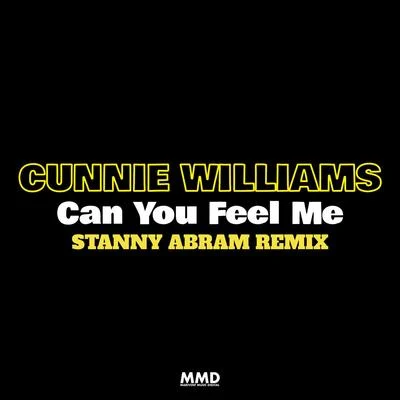 CHEW FU/Cunnie Williams/The Mousseketeers/Carl Keaton Jr./Can 7/Akay/Autodeep/Roachford/Slackwax/Cool MillionCan You Feel Me(Stanny Abram Remix)