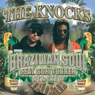 The Knocks/AbsofactoBrazilian Soul (Remixes)