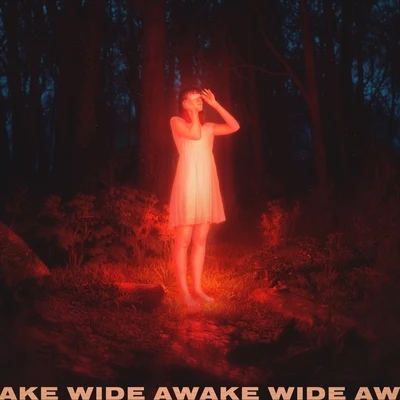 Petit Biscuit/ShallouWide Awake