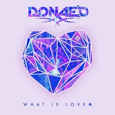 DonaeoWhat Is Love (Remixes)