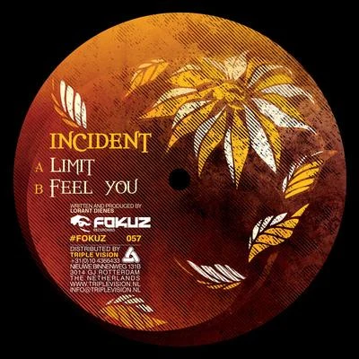 Sonic Rain/IncidentLimitFeel You