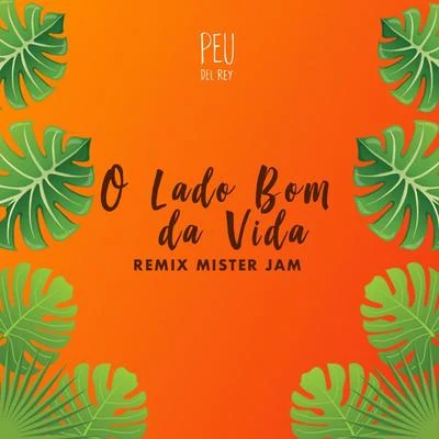 PeuO Lado Bom da Vida (Remix Mister Jam)