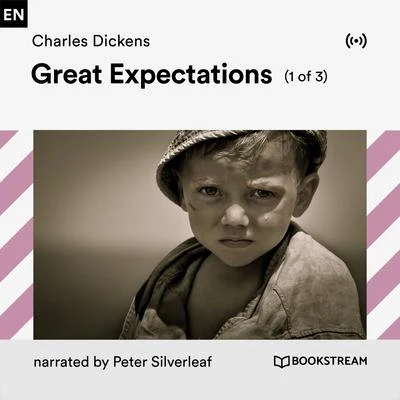 Theodor Fontane/Bookstream Audiobooks/Peter WaltersGreat Expectations (1 of 3)