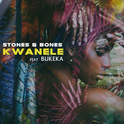 Stones & BonesKwanele