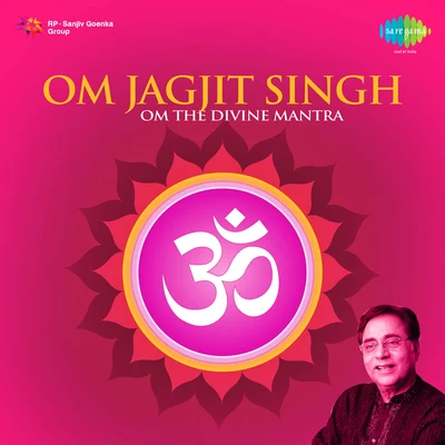 Jagjit Singh/Chitra Singh/Pt. Brij Bhushan KabraJagjit Singh Om The Divine Mantra